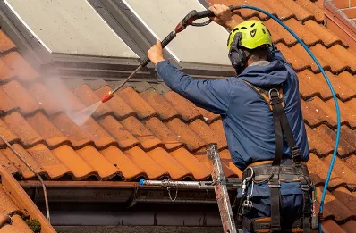 Démoussage et hydrofuge de toiture à Lingeard